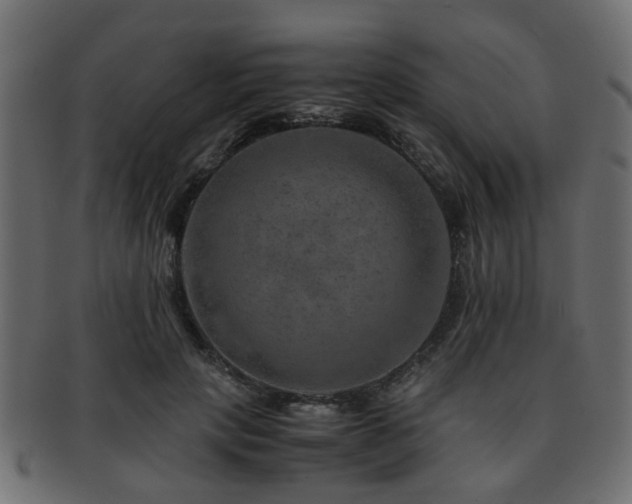 X0000093100649200709261231