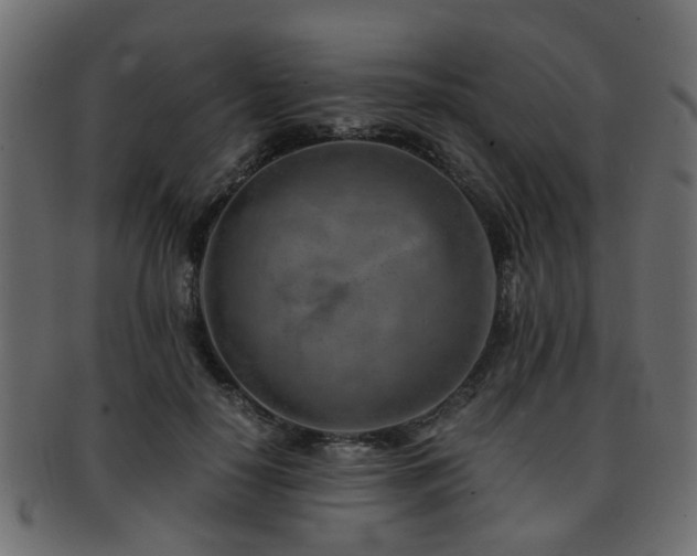 X0000093100650200709261231