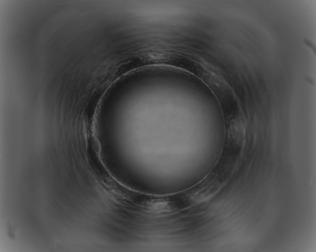 X0000093100651200709261231