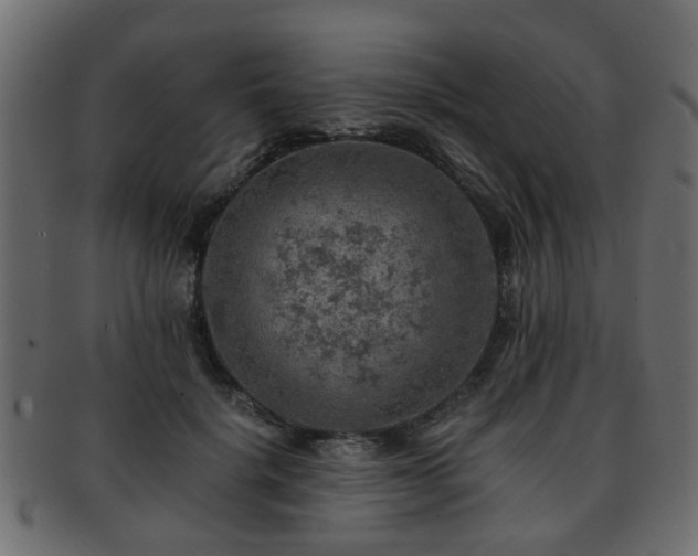X0000093100652200709261231