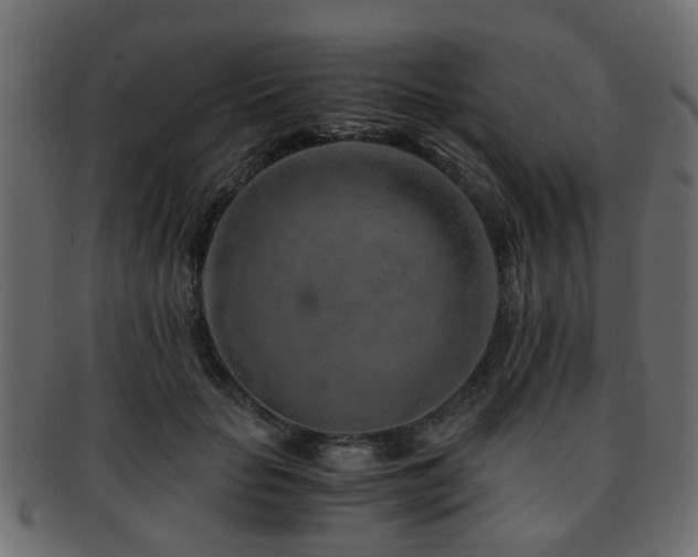 X0000093100653200709261231