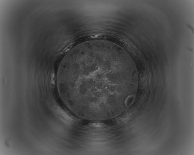 X0000093100654200709261231