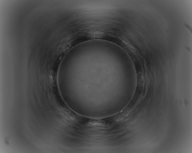 X0000093100655200709261231