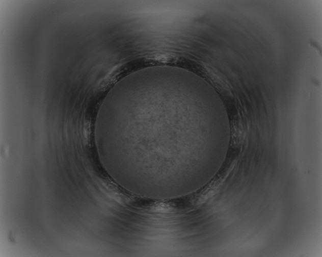 X0000093100656200709261231