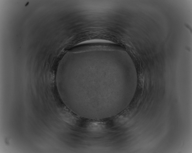 X0000093100657200709261231