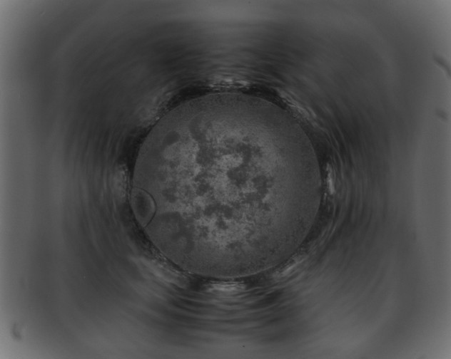 X0000093100659200709261231