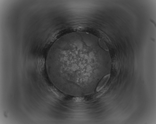 X0000093100660200709261231