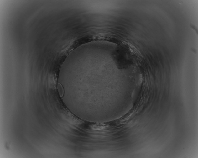 X0000093100661200709261231
