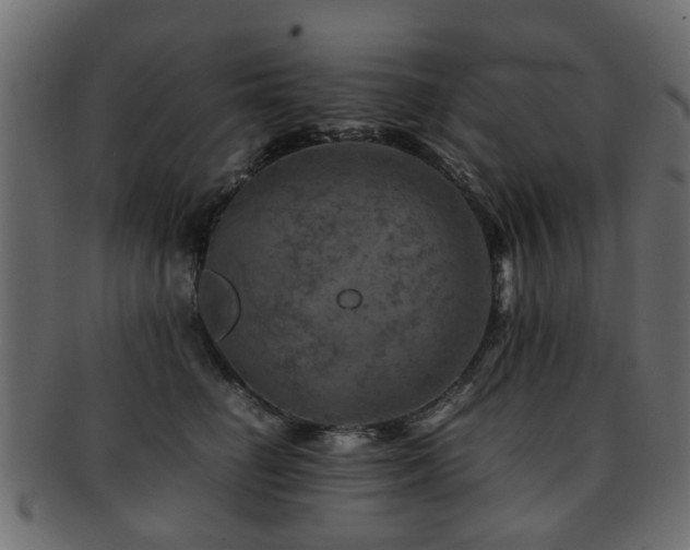 X0000093100662200709261231