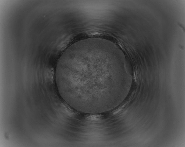 X0000093100664200709261231