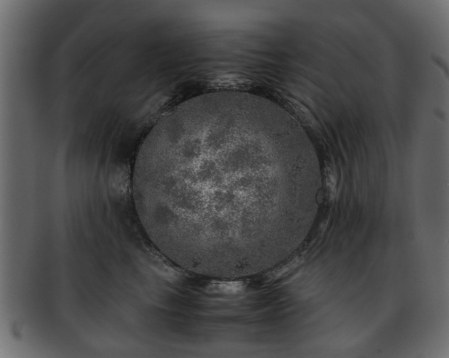 X0000093100665200709261231