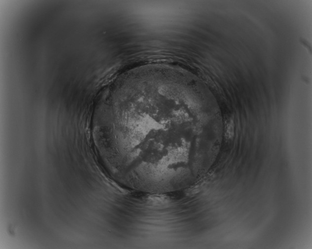 X0000093100666200709261231