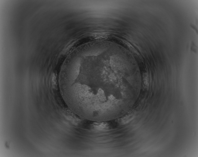 X0000093100667200709261231