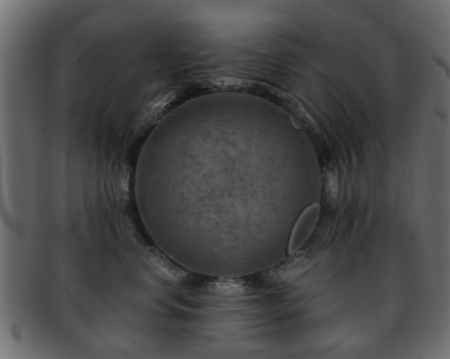 X0000093100668200709261231
