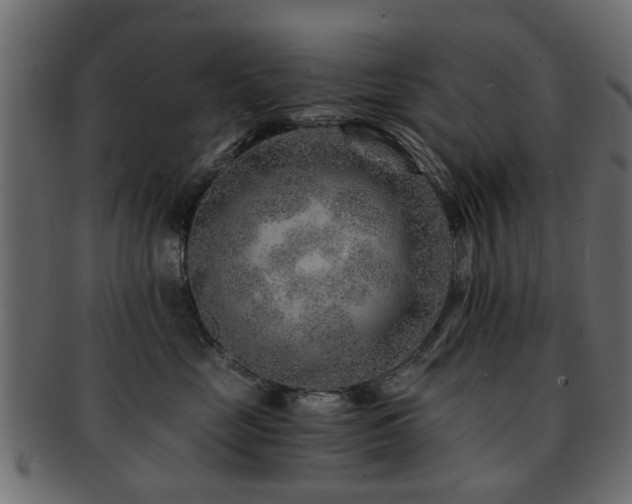 X0000093100669200709261231