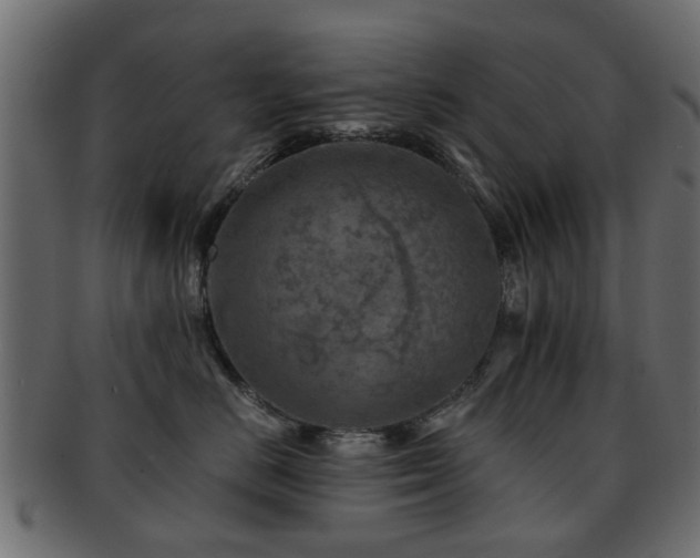 X0000093100670200709261231