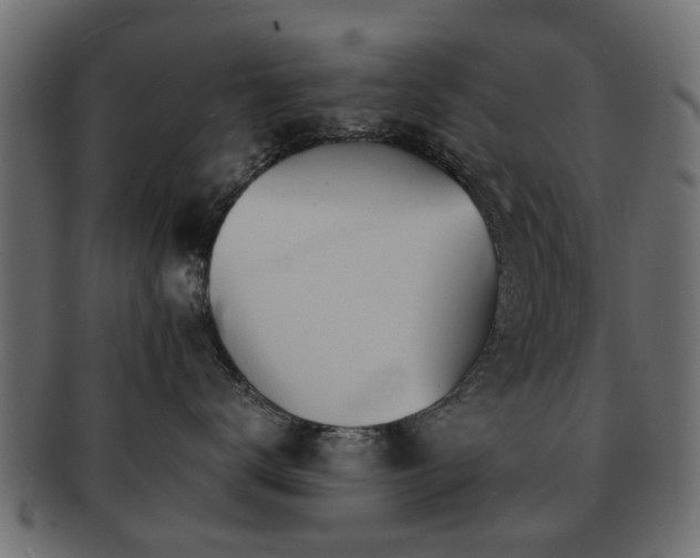 X0000093100672200709261231