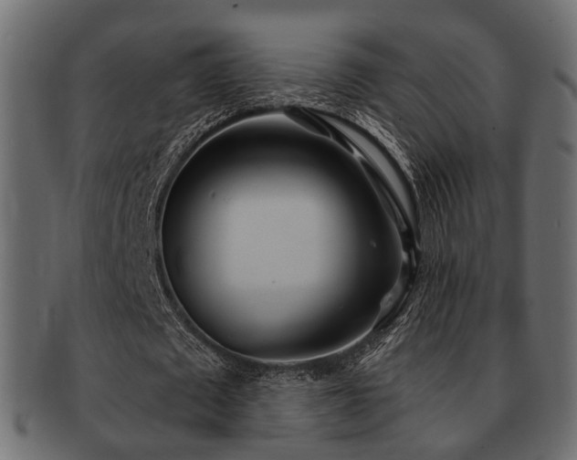 X0000093100673200709261231