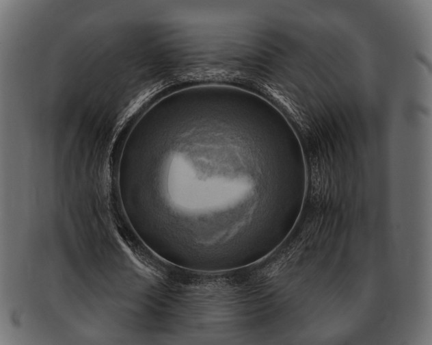 X0000093100674200709261231