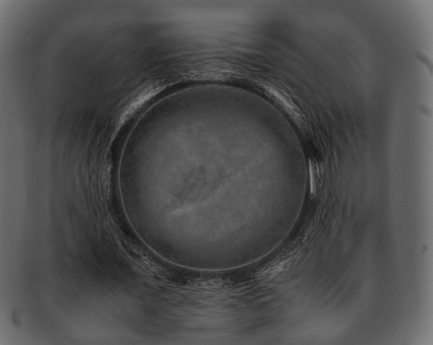 X0000093100675200709261231