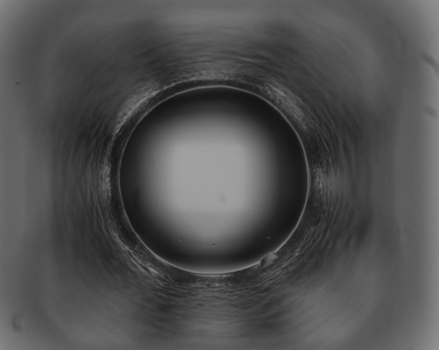 X0000093100676200709261231
