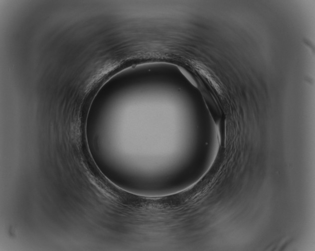 X0000093100677200709261231