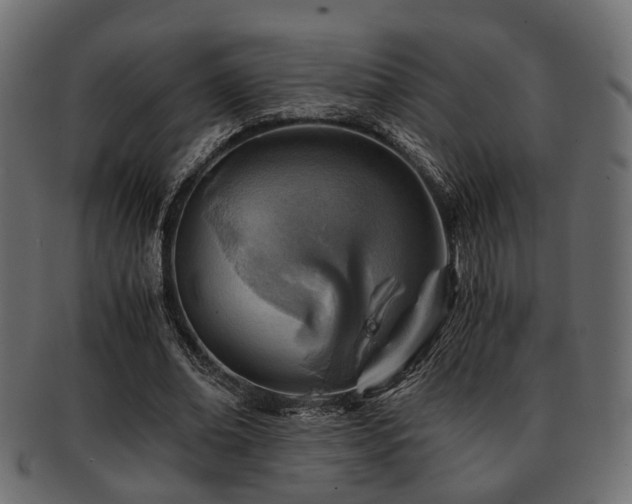 X0000093100678200709261231