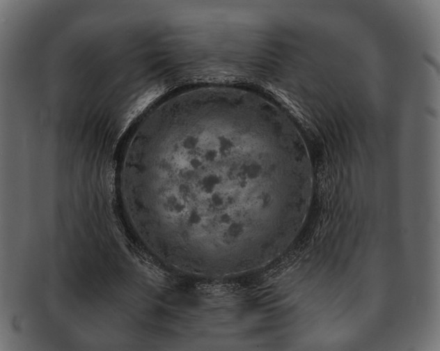 X0000093100679200709261231