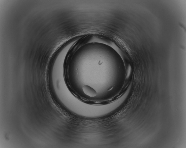 X0000093100680200709261231