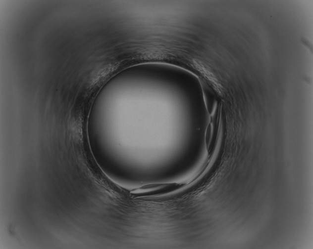 X0000093100681200709261231