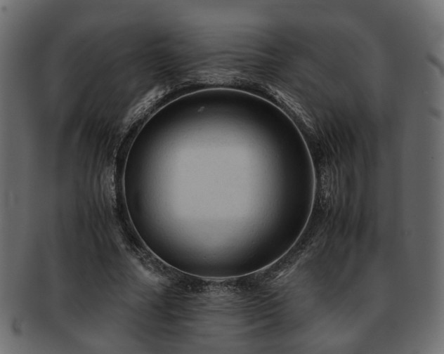 X0000093100682200709261231