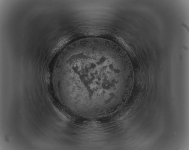 X0000093100683200709261231