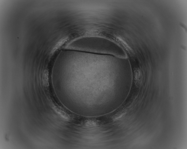 X0000093100684200709261231
