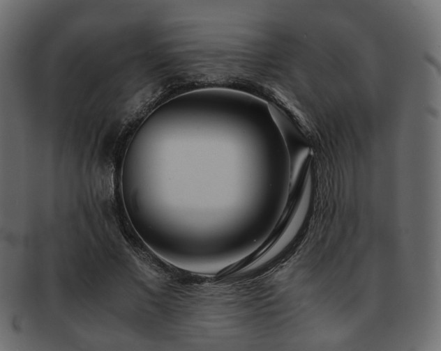 X0000093100685200709261231