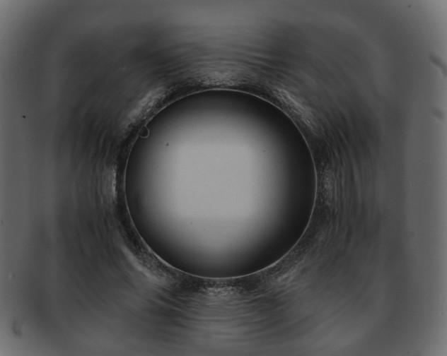 X0000093100686200709261231