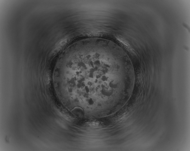 X0000093100687200709261231