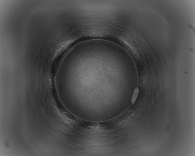 X0000093100688200709261231