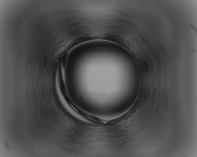X0000093100689200709261231
