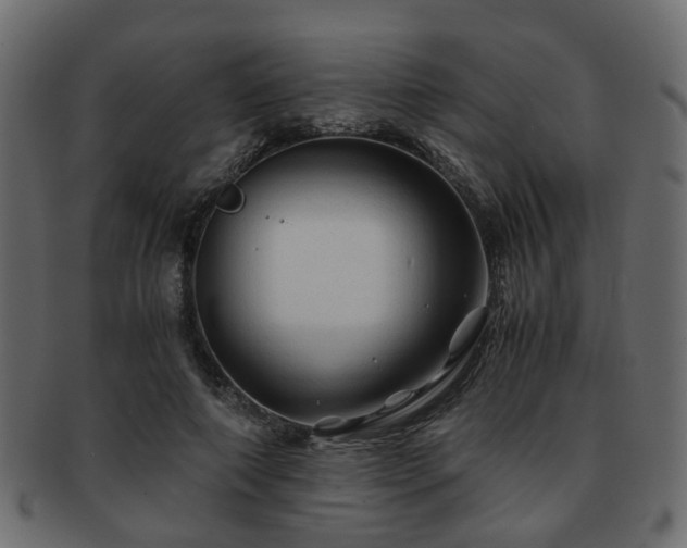 X0000093100690200709261231