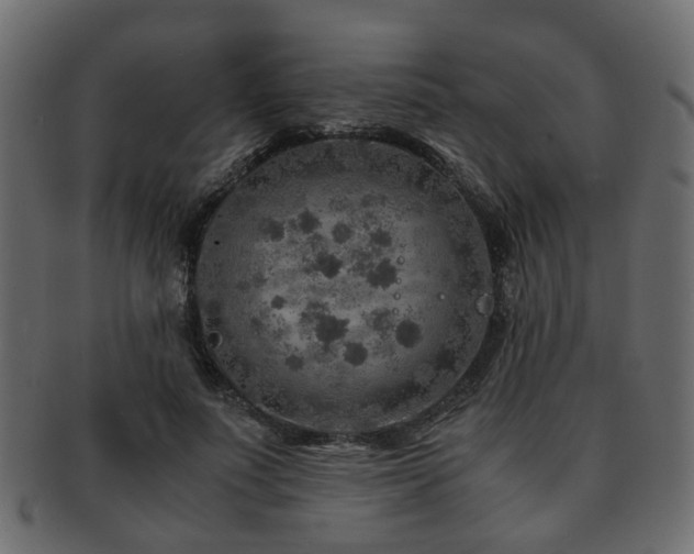 X0000093100691200709261231