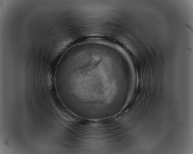 X0000093100692200709261231