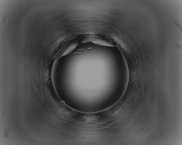 X0000093100693200709261231