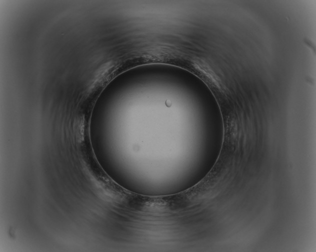 X0000093100694200709261231