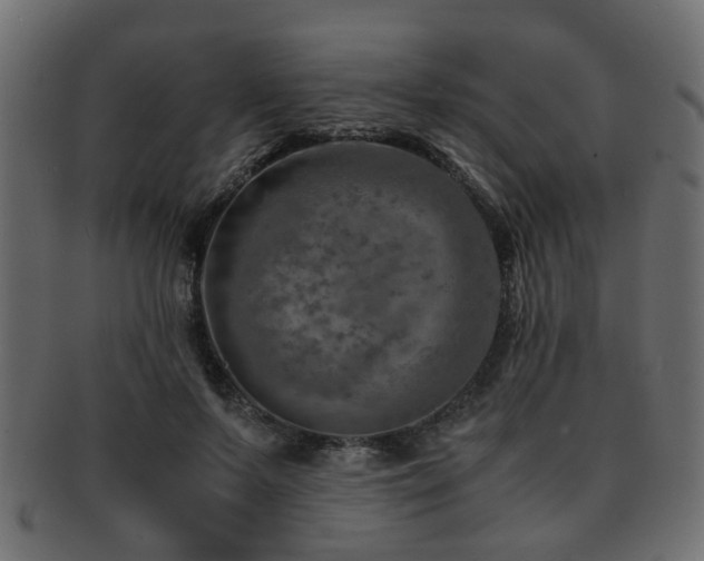 X0000093100695200709261230