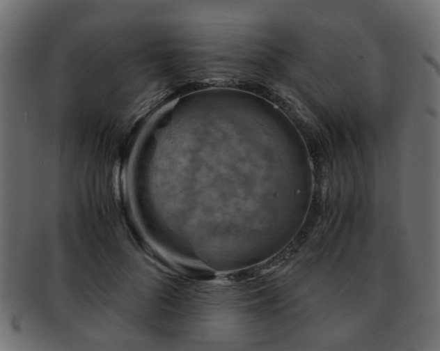 X0000093100696200709261230