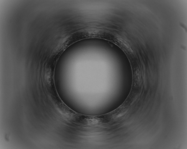 X0000093100698200709261230