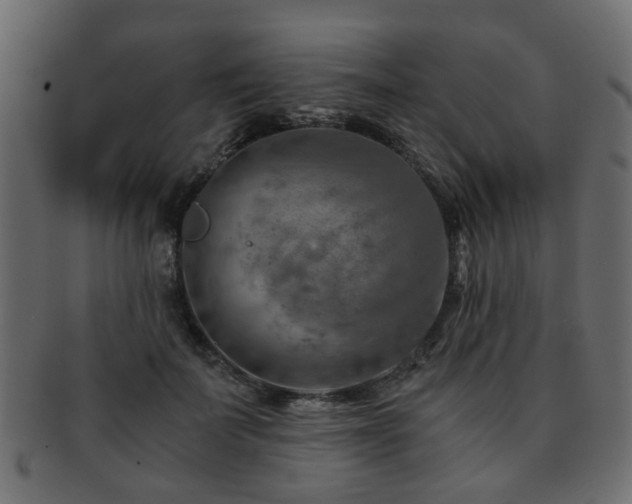 X0000093100699200709261230