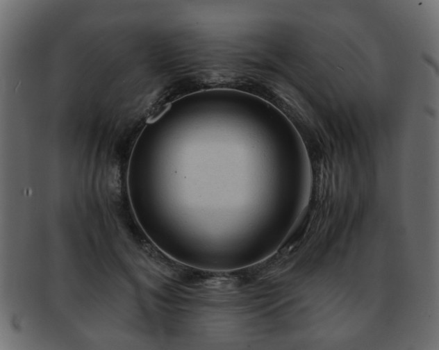 X0000093100700200709261230