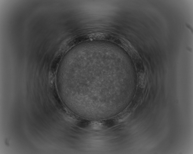 X0000093100701200709261230