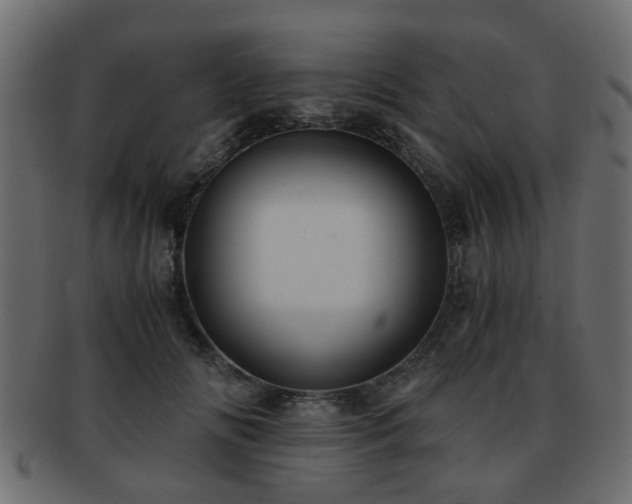X0000093100702200709261230